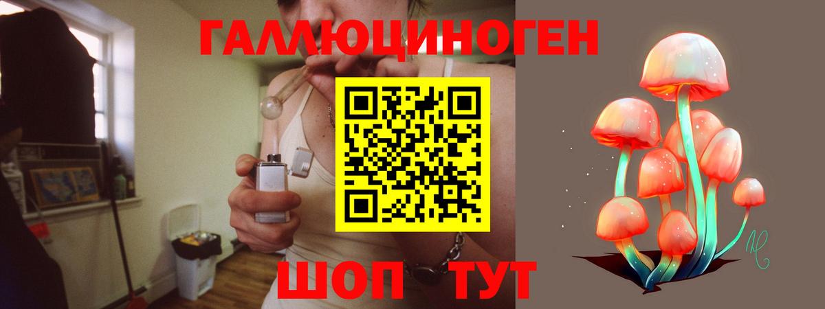 Галлюциногенные грибы Cubensis  Вход с VPN  Реж 